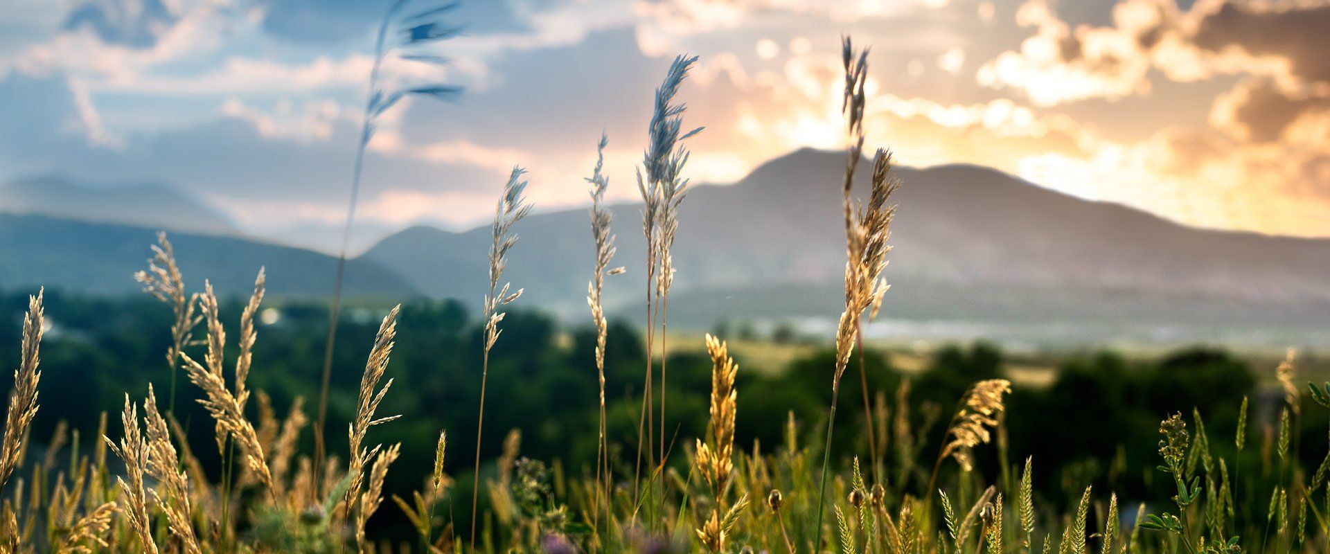 Funeral Homes in Rifle, CO Rifle Funeral Home