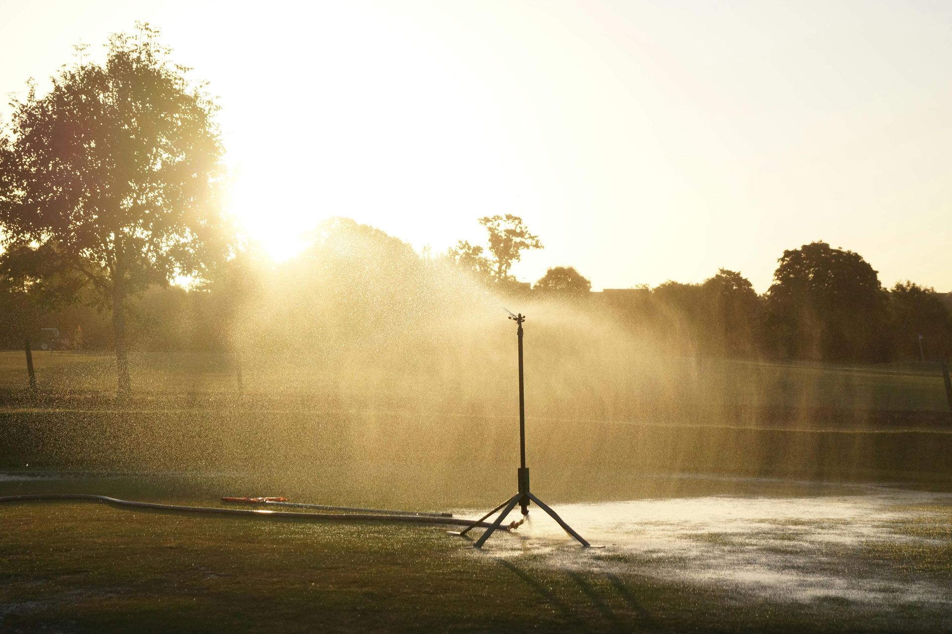 A sprinkler is spraying water on a field at sunset