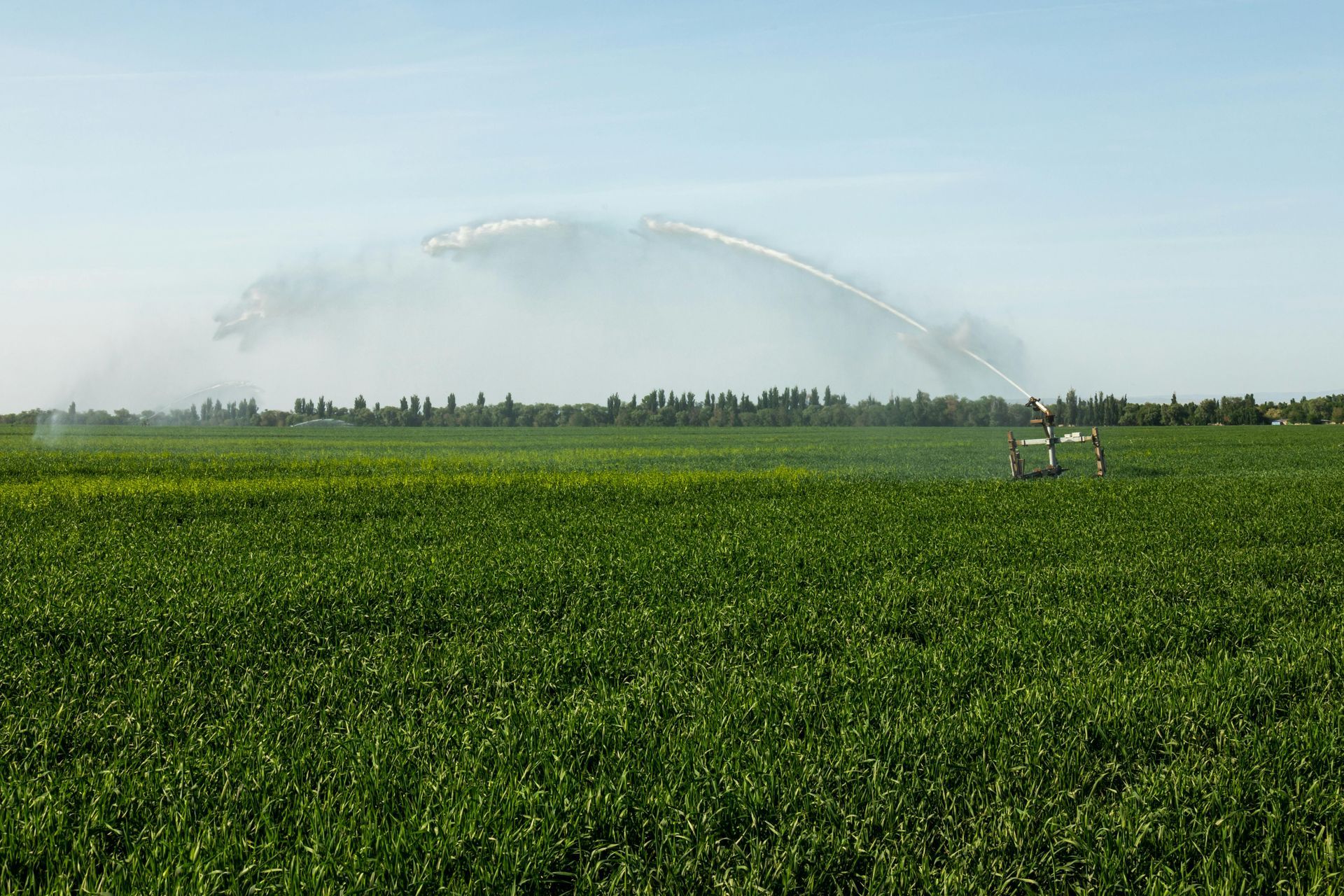 A sprinkler is spraying water on a lush green field.