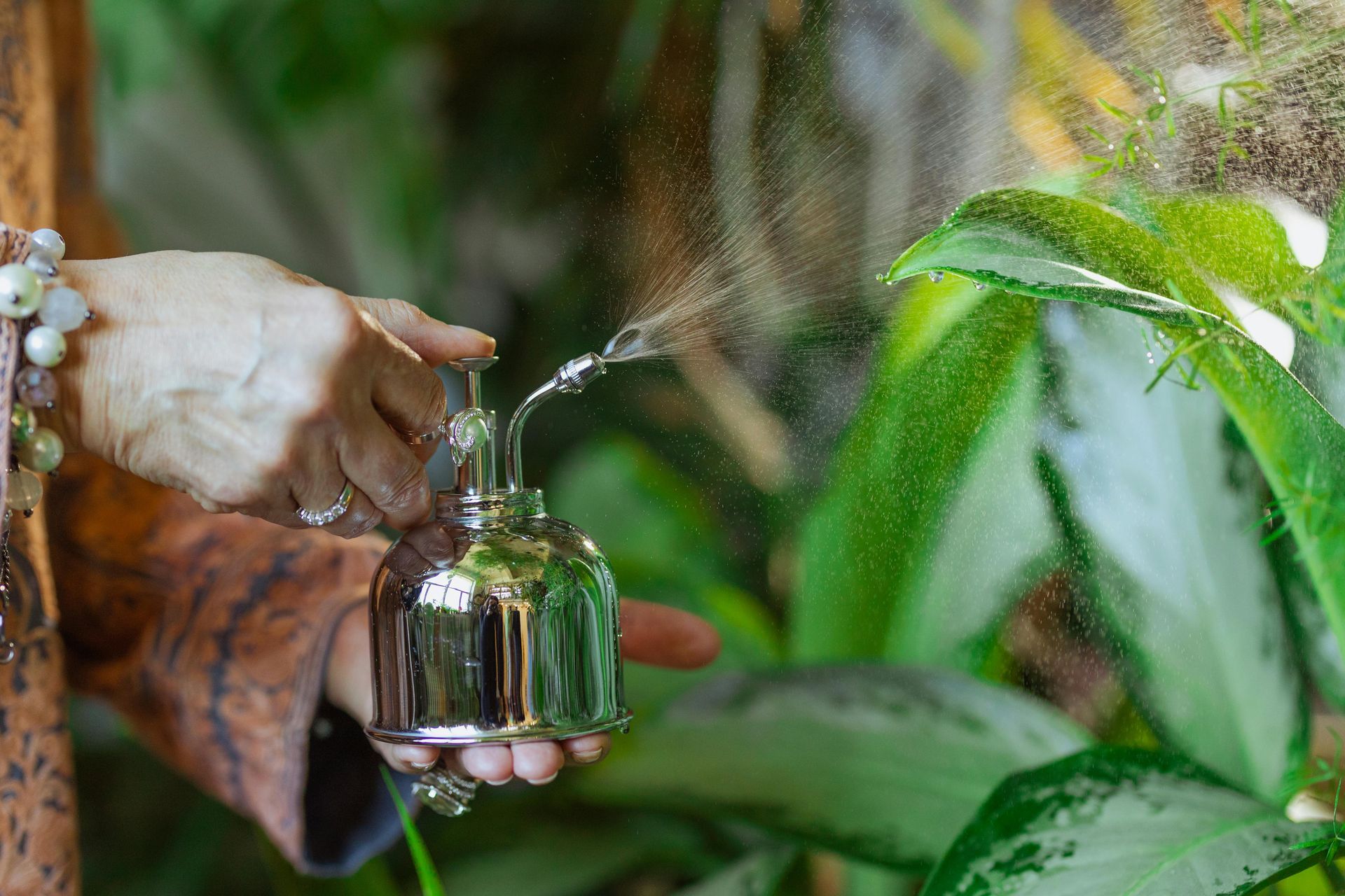 A person is spraying water on a plant with a spray bottle.