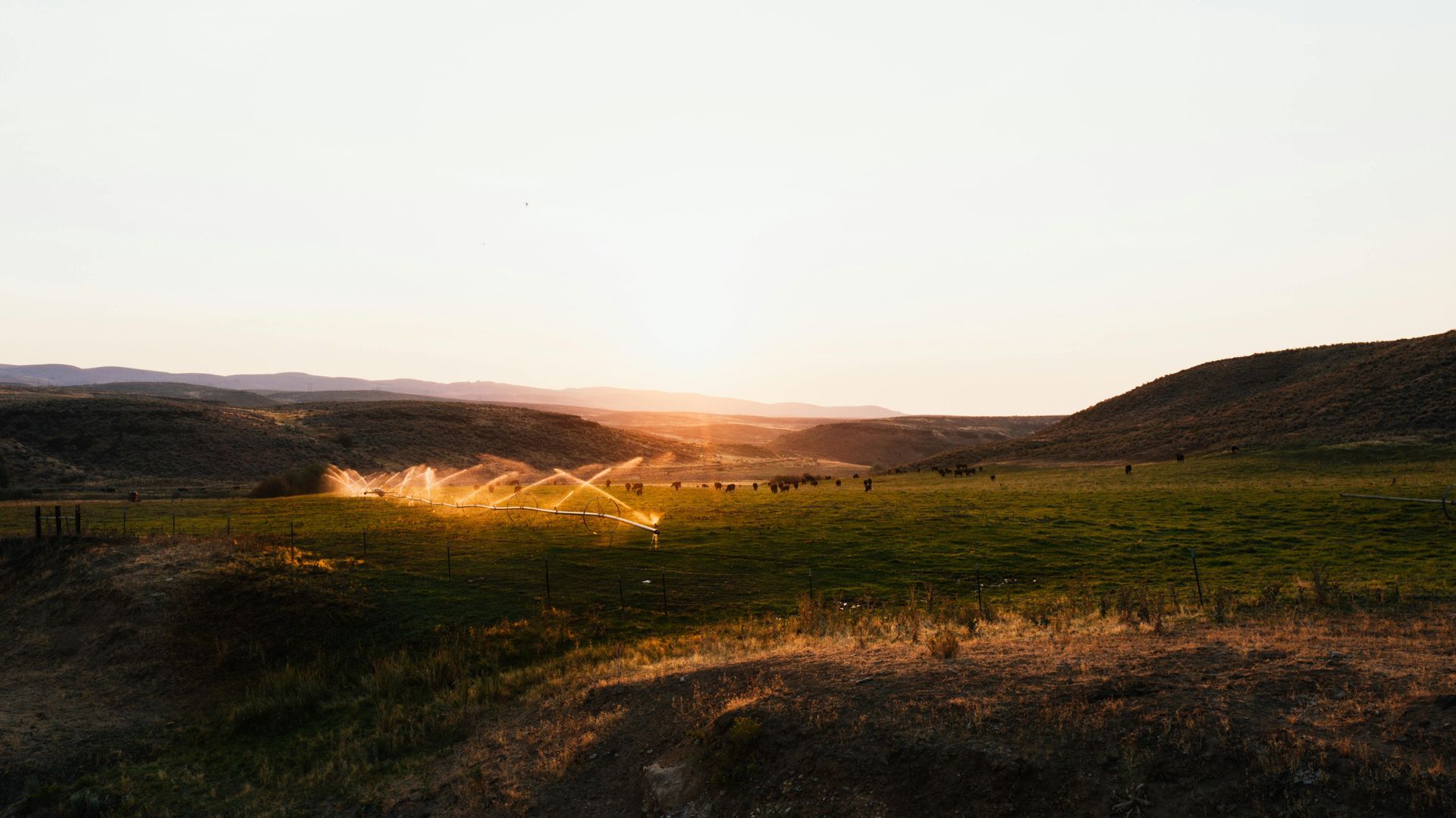 A group of people are standing in a field at sunset.