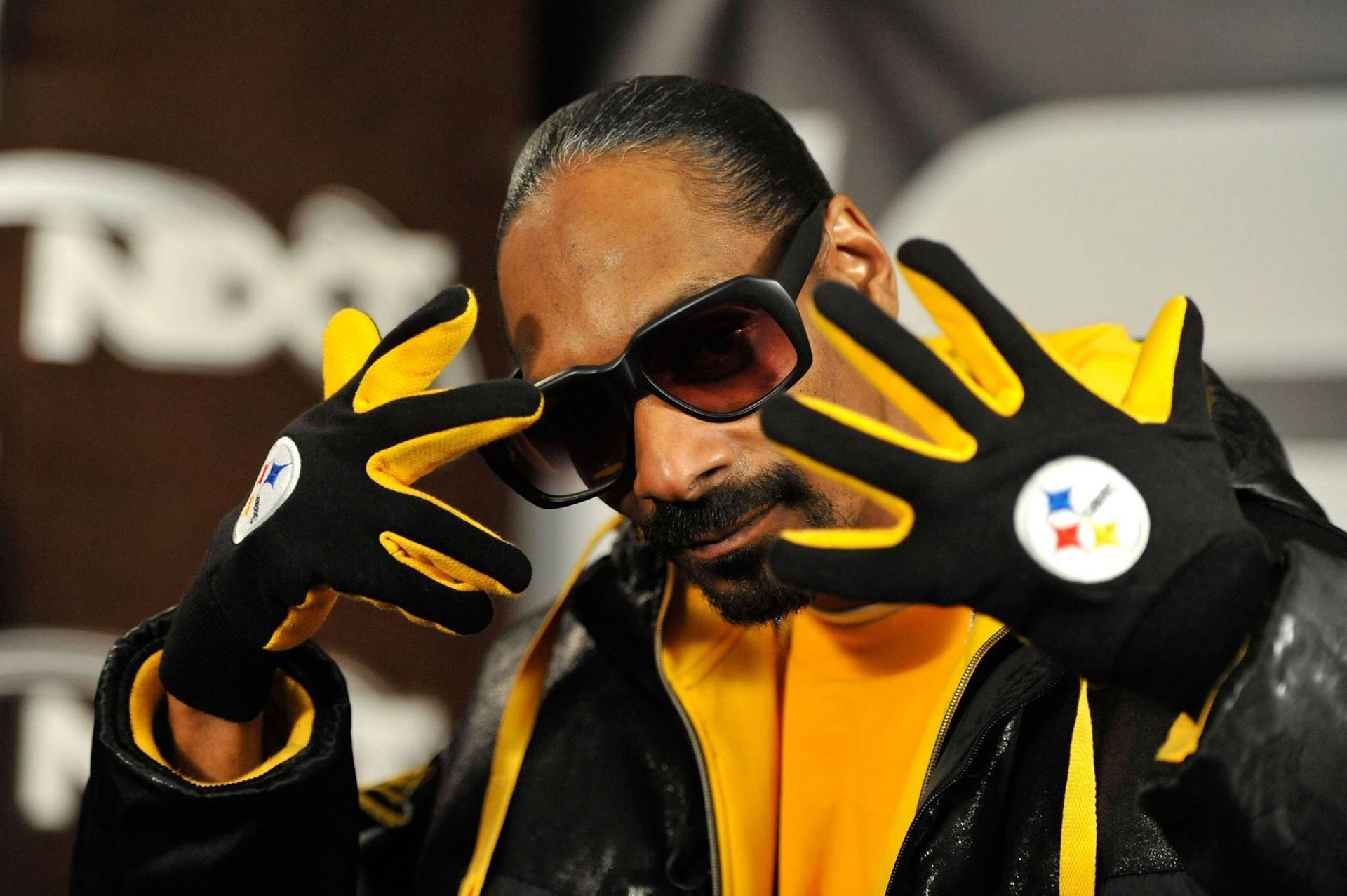 Five Famous Steelers Fans!