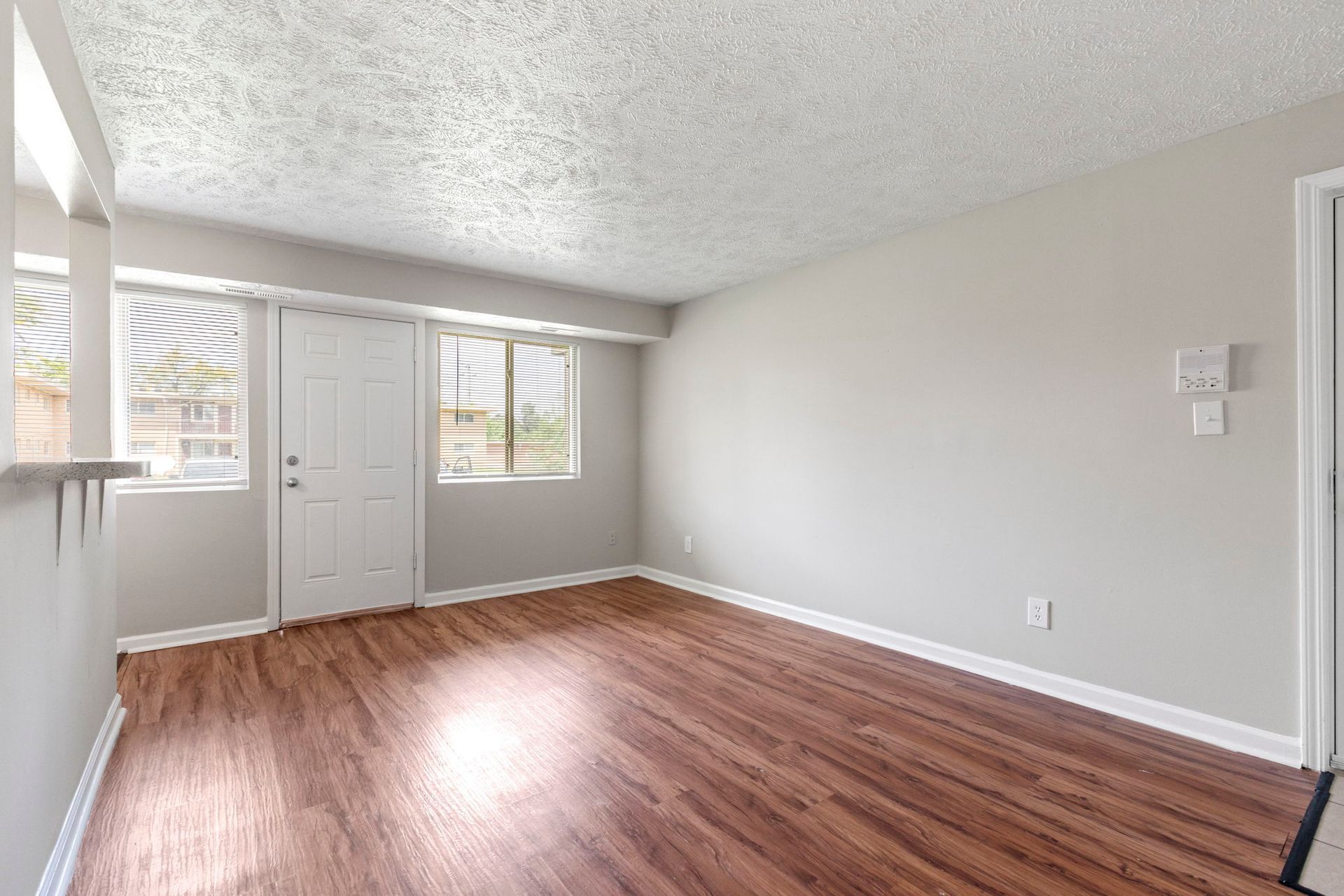 Empty living room with wood-look floor, white door, windows, and light gray walls.