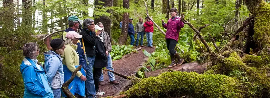Group guided tour  with tour guide hicking through Alaska Rainforest 