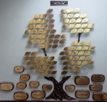 Tree of Life | RMC