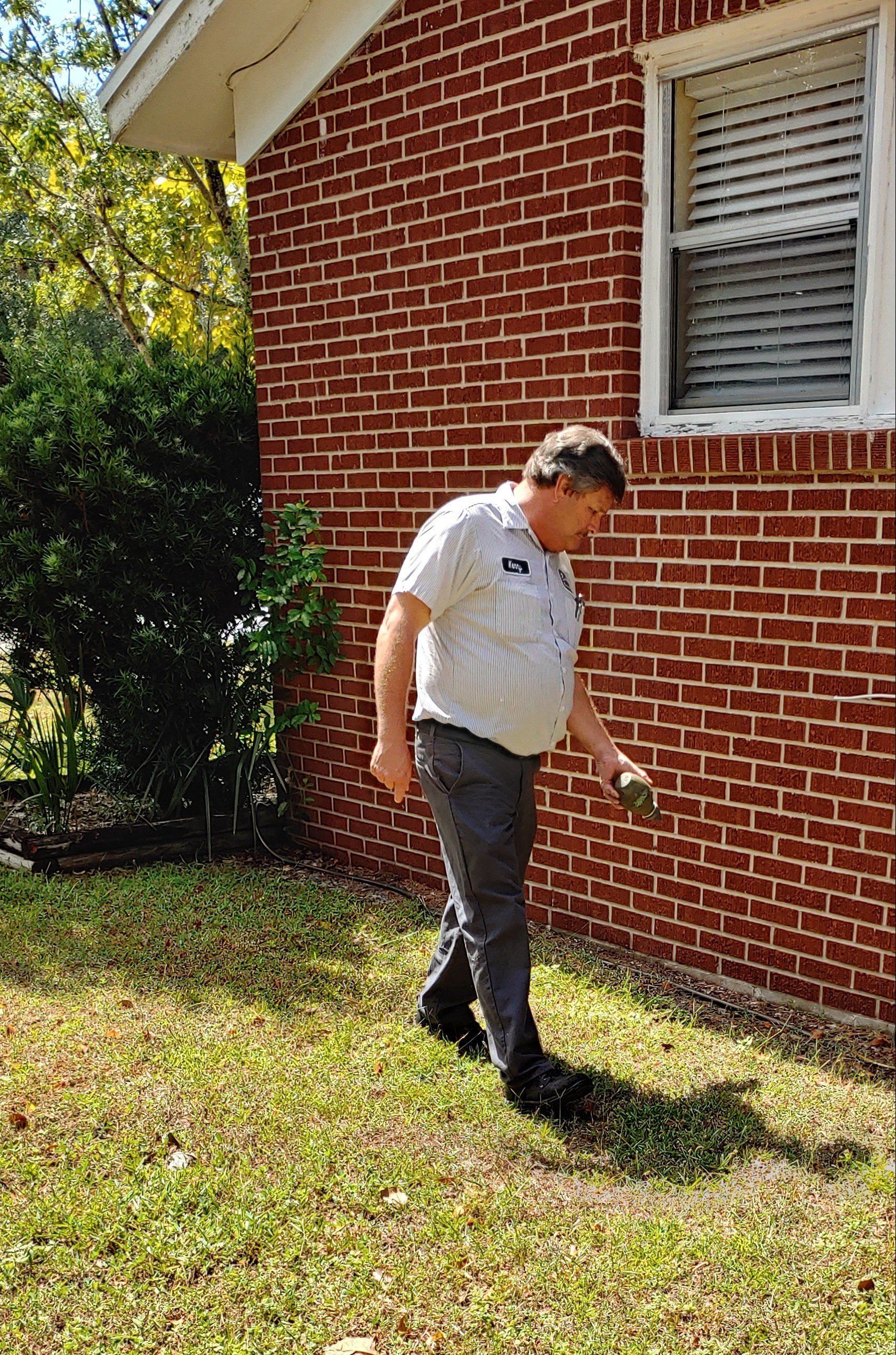 Yellow Wasp — Tavares, FL — Eagle Exterminating Co