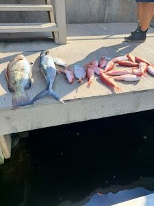 Freshly caught fish, including red snappers, on a dock near dark water.