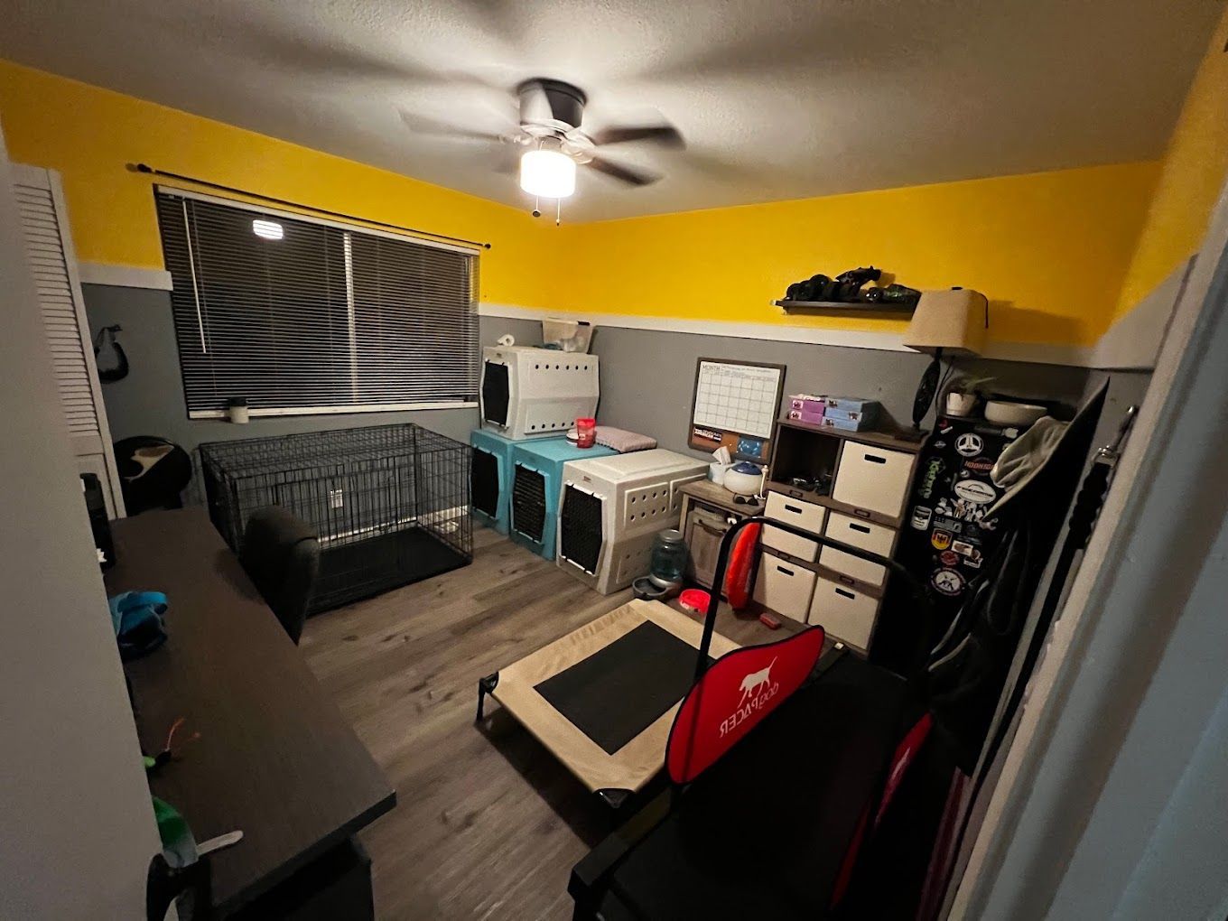 There is a trampoline in the middle of the room.