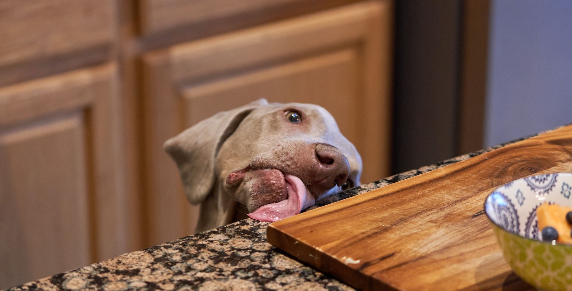 A dog is chewing on a piece of meat on a cutting board.