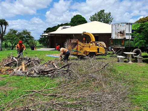 two men shredding trees