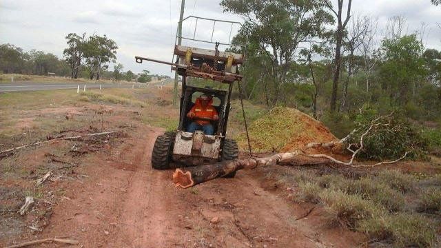 forklift pulling tree