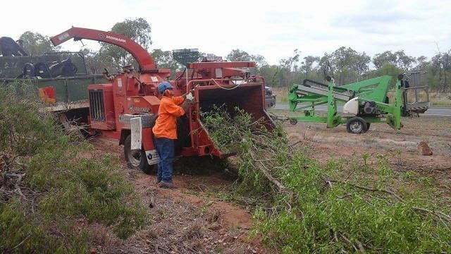 red shredder shredding branches