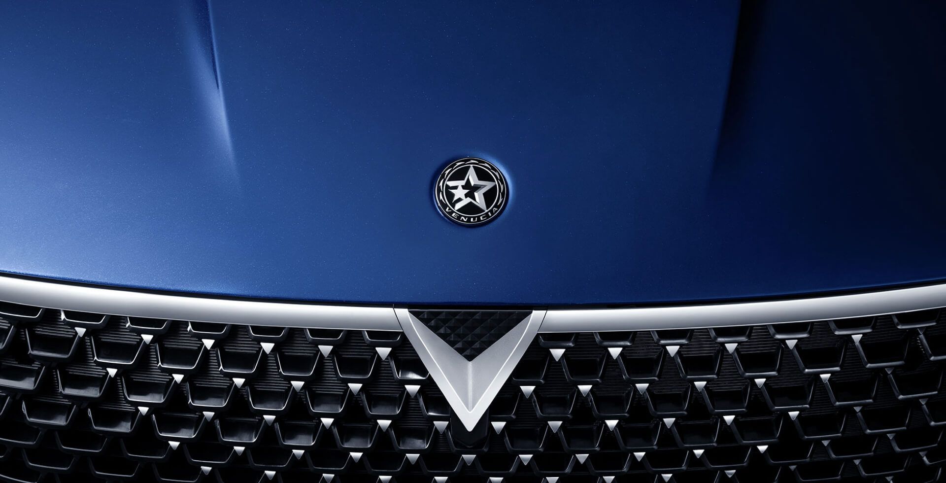 Blue car hood with a star logo and a silver grill.