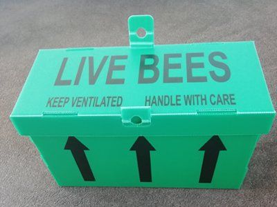 5 Frame National Overwintered Nucleus Hive