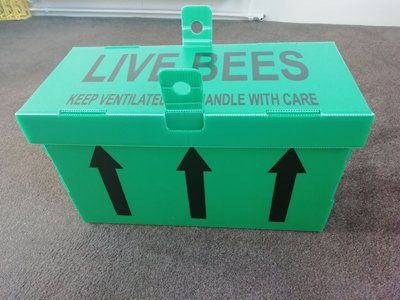 5 Frame Langstroth Overwintered Nucleus Hive