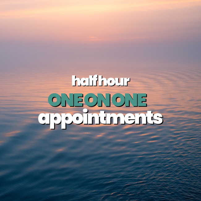 Patti Conklin's Half Hour One on One Healing Appointment