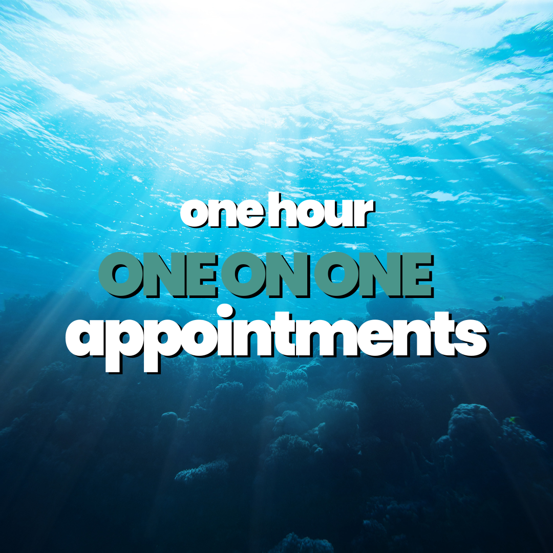 Patti Conklin's One Hour One on One Healing Appointment