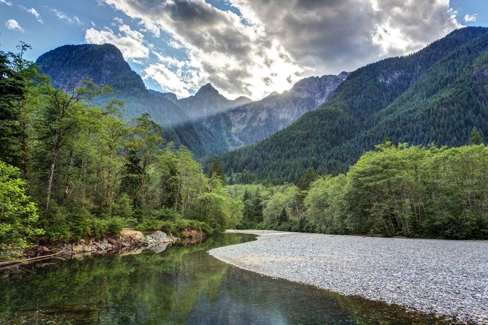 BLACK OWNED BUSINESSES IN LANGLEY BC