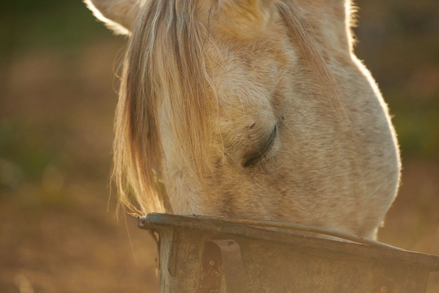 a comunidade preserva a vida