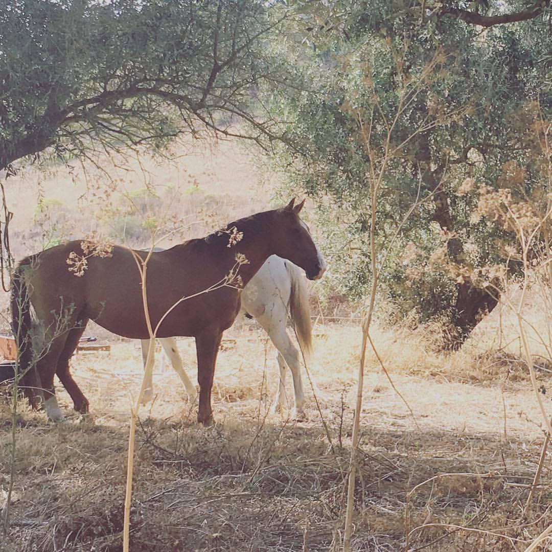 sempre alerta em mindfulness