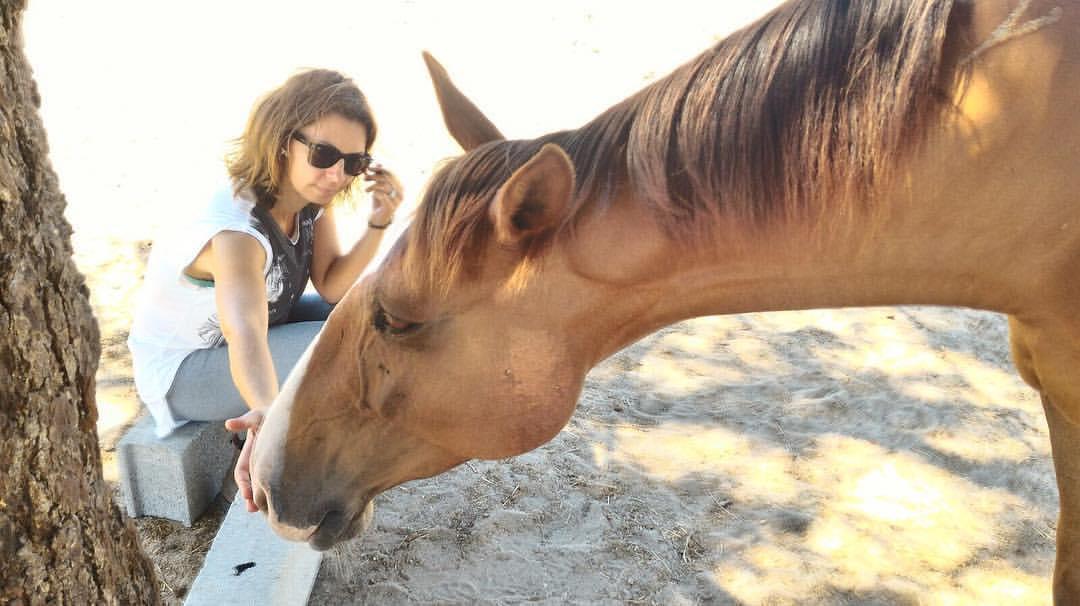 instintos apurados preservam a vida