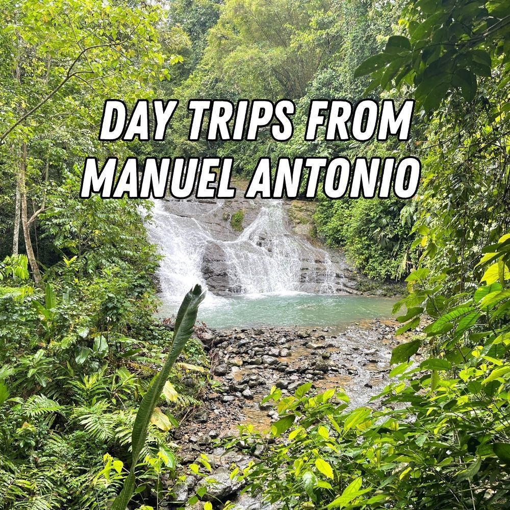 day trips from manuel antonio