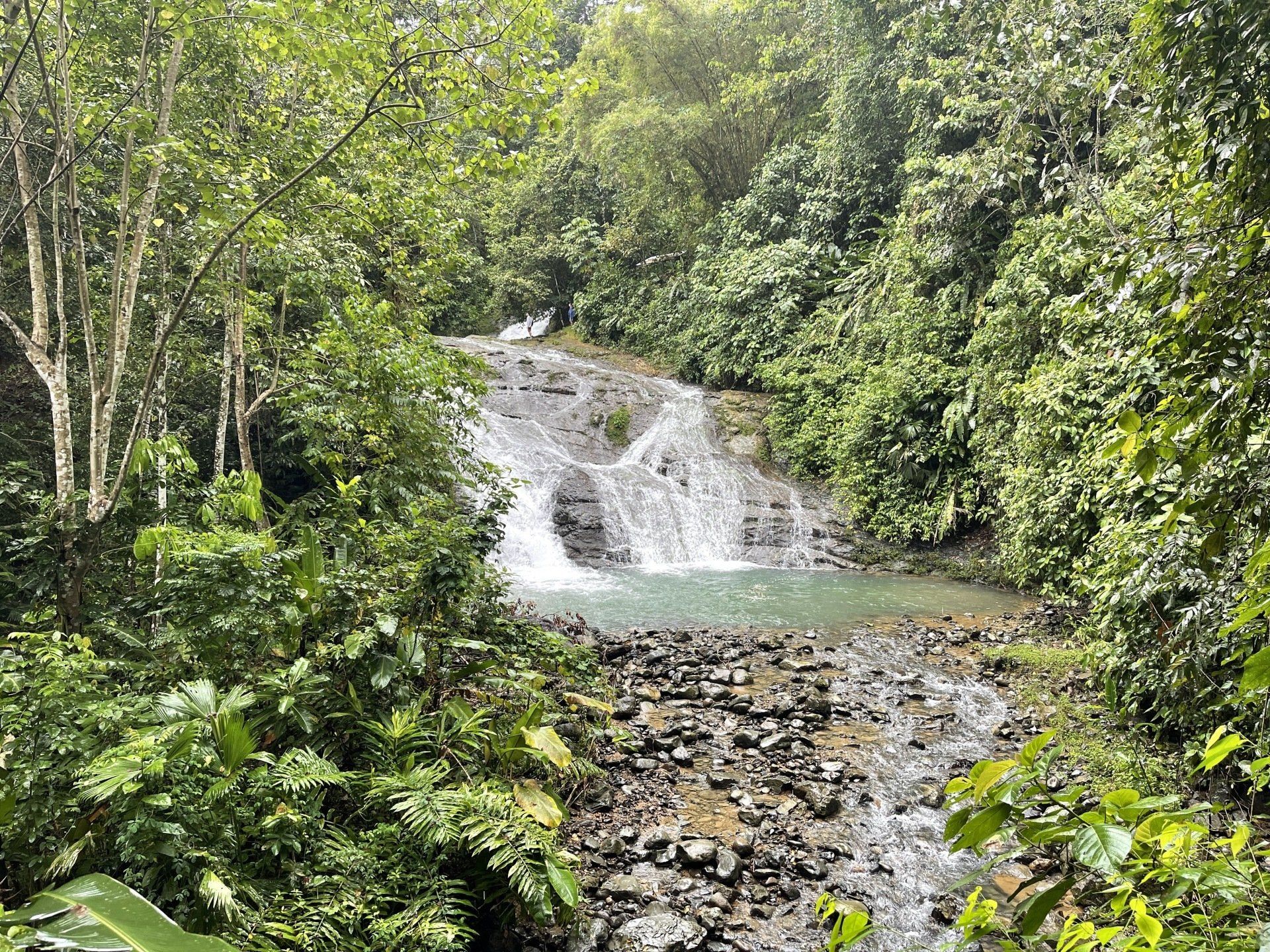 Solo travel tour Quepos Costa Rica 