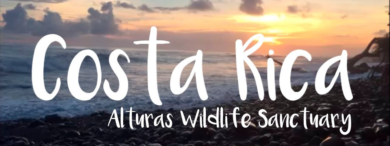 volunteer opportunities Manuel Antonio  Alturas wildlife sanctuary