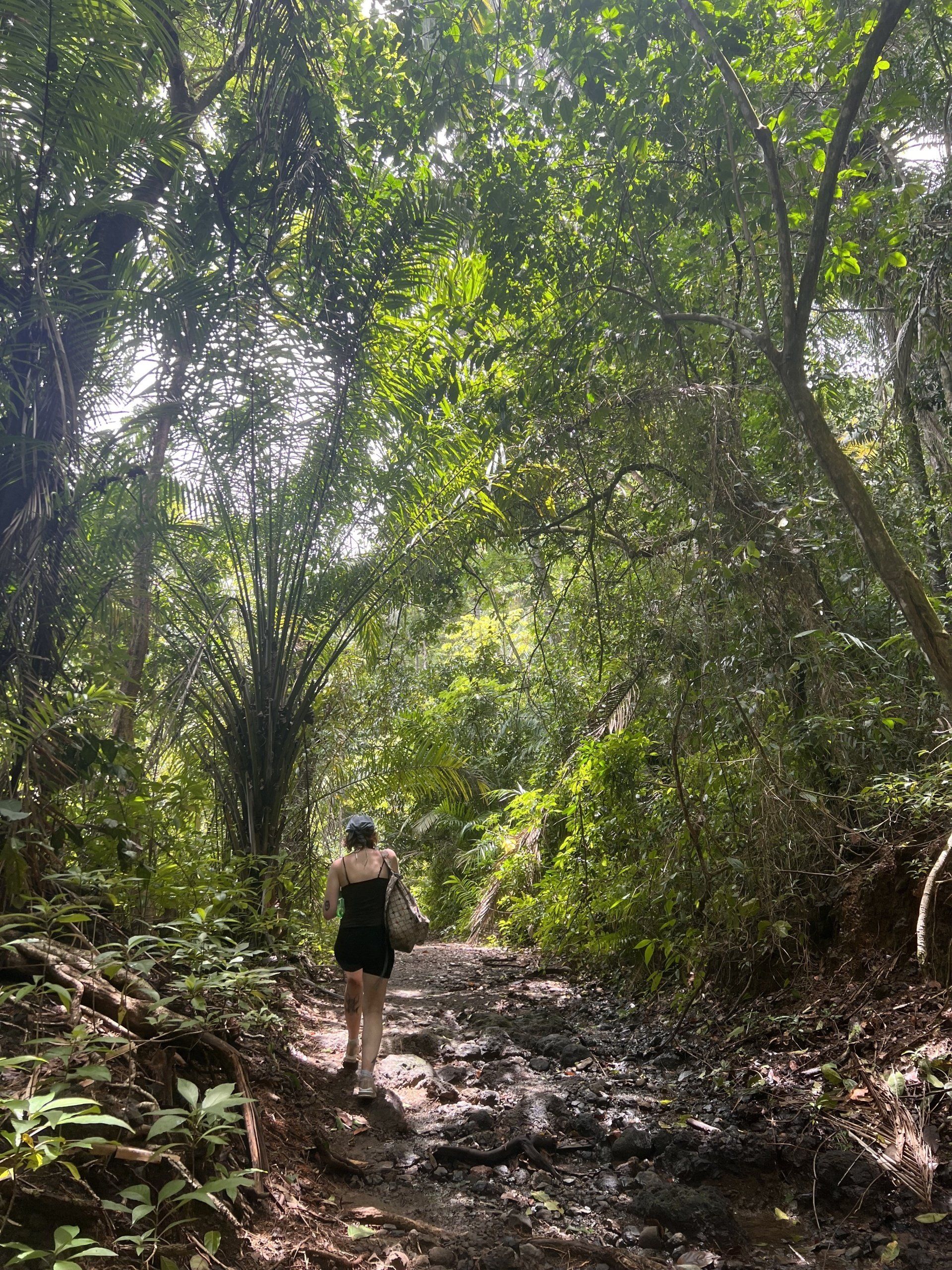 playa la macha trail manuel antonio