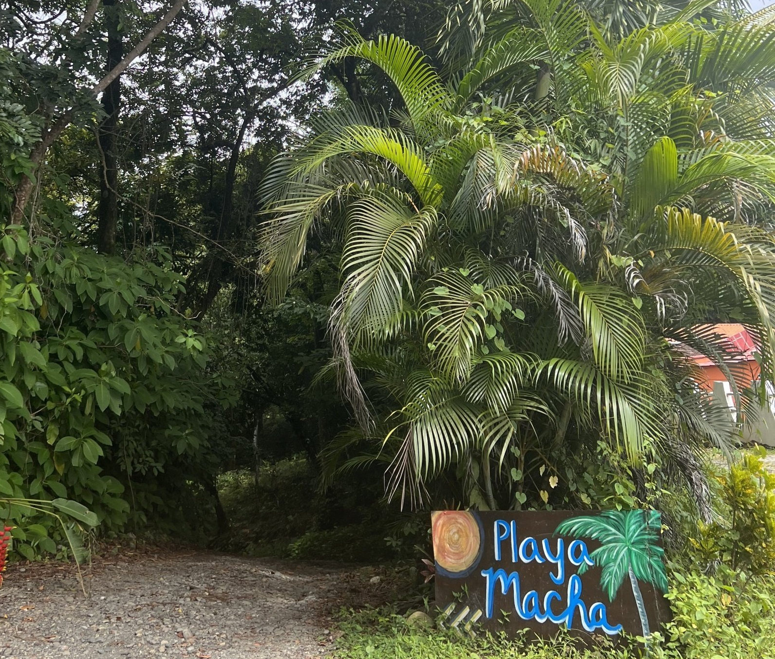 Playa la macha trail head manuel antonio