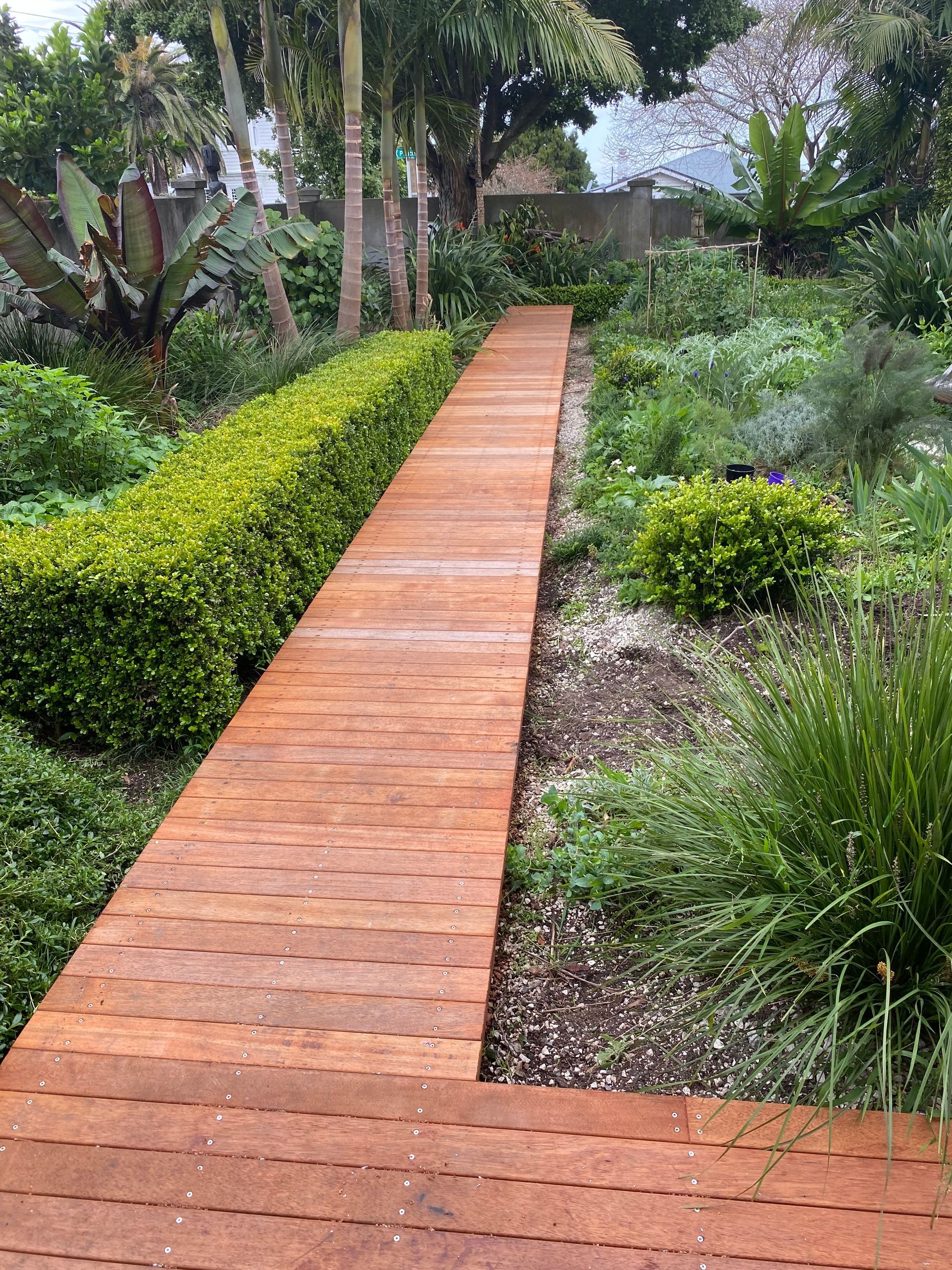 A wooden walkway in a garden surrounded by trees and bushes.