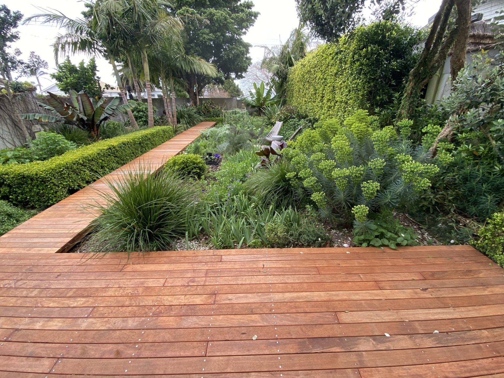 A wooden walkway in a garden surrounded by trees and bushes