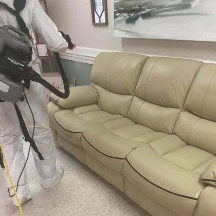 disinfecting  sofa