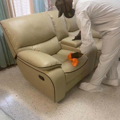 disinfecting sofa