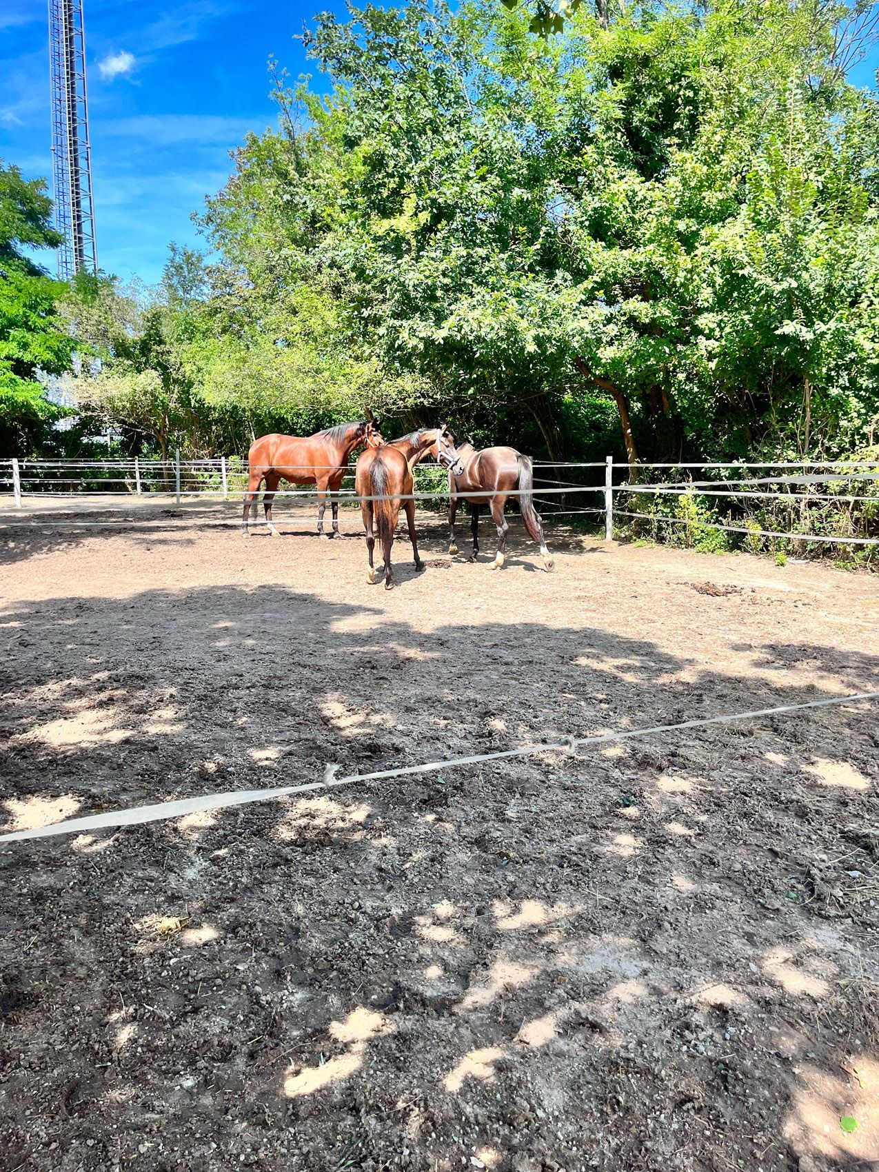 Anlagenfoto Einstellbetrieb Perchtoldsodorf