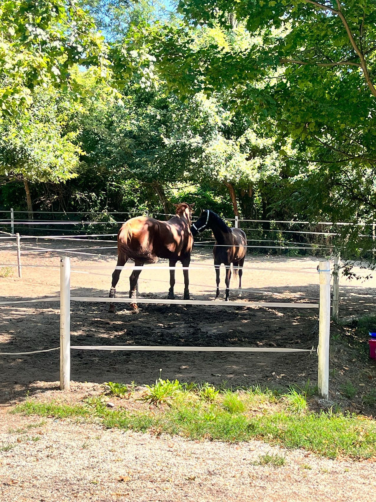 Anlagenfoto Einstellbetrieb Perchtoldsodorf
