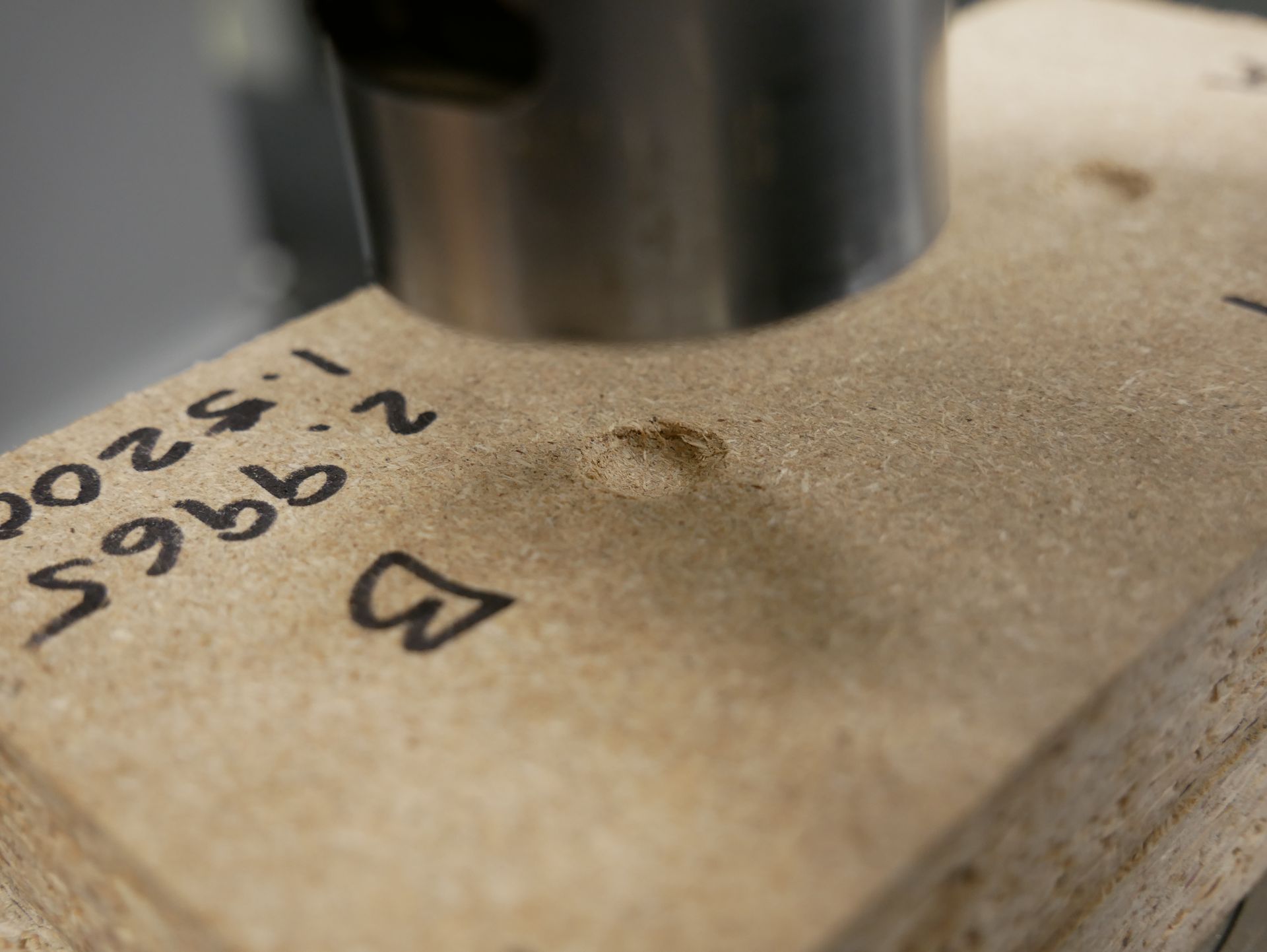 Janka Test Specimen After Indentation