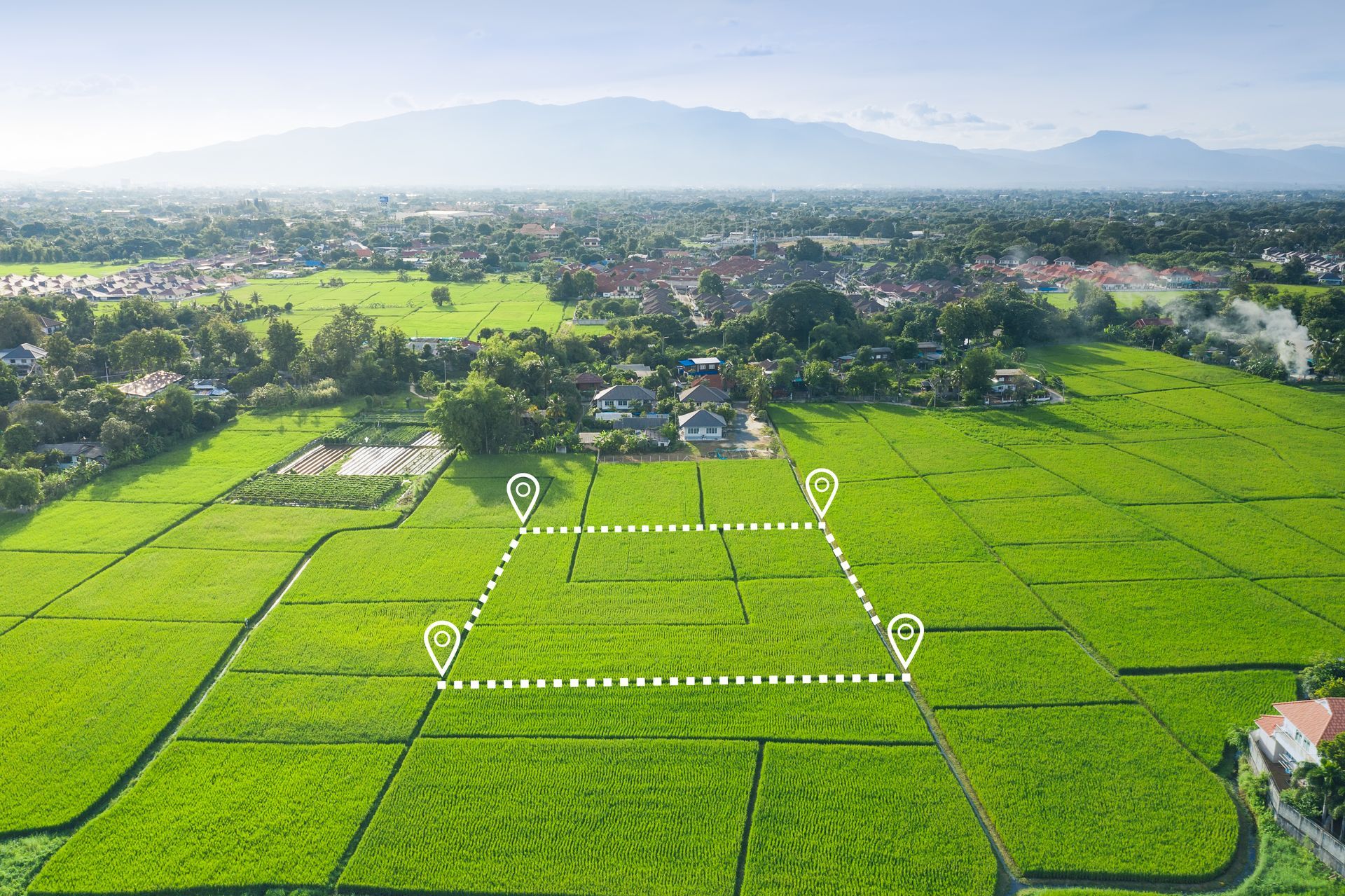 Aerial view of green farmland with marked plot lines, residential area in the background. Aerial view of green farmland with marked plot lines, residential area in the background.