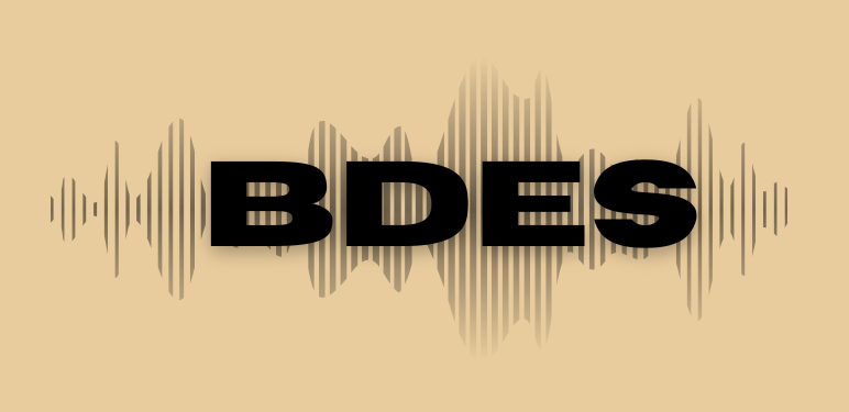 BDES logo