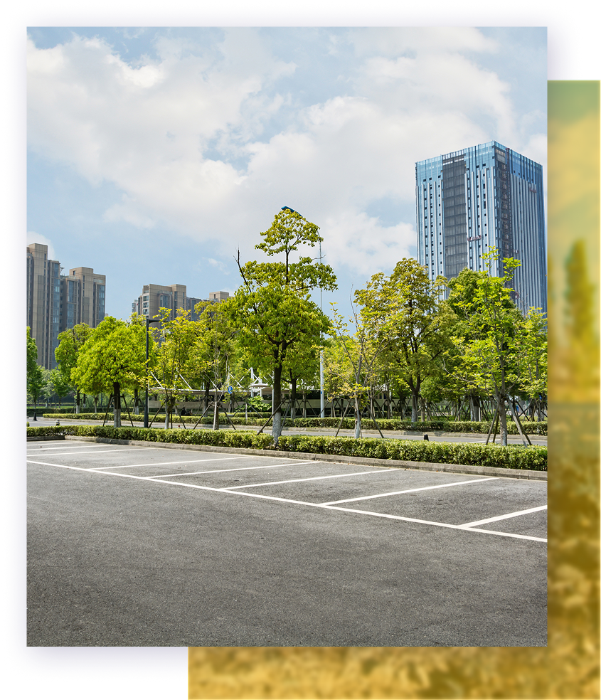Street with parking spaces, trees, and tall buildings under a cloudy sky.