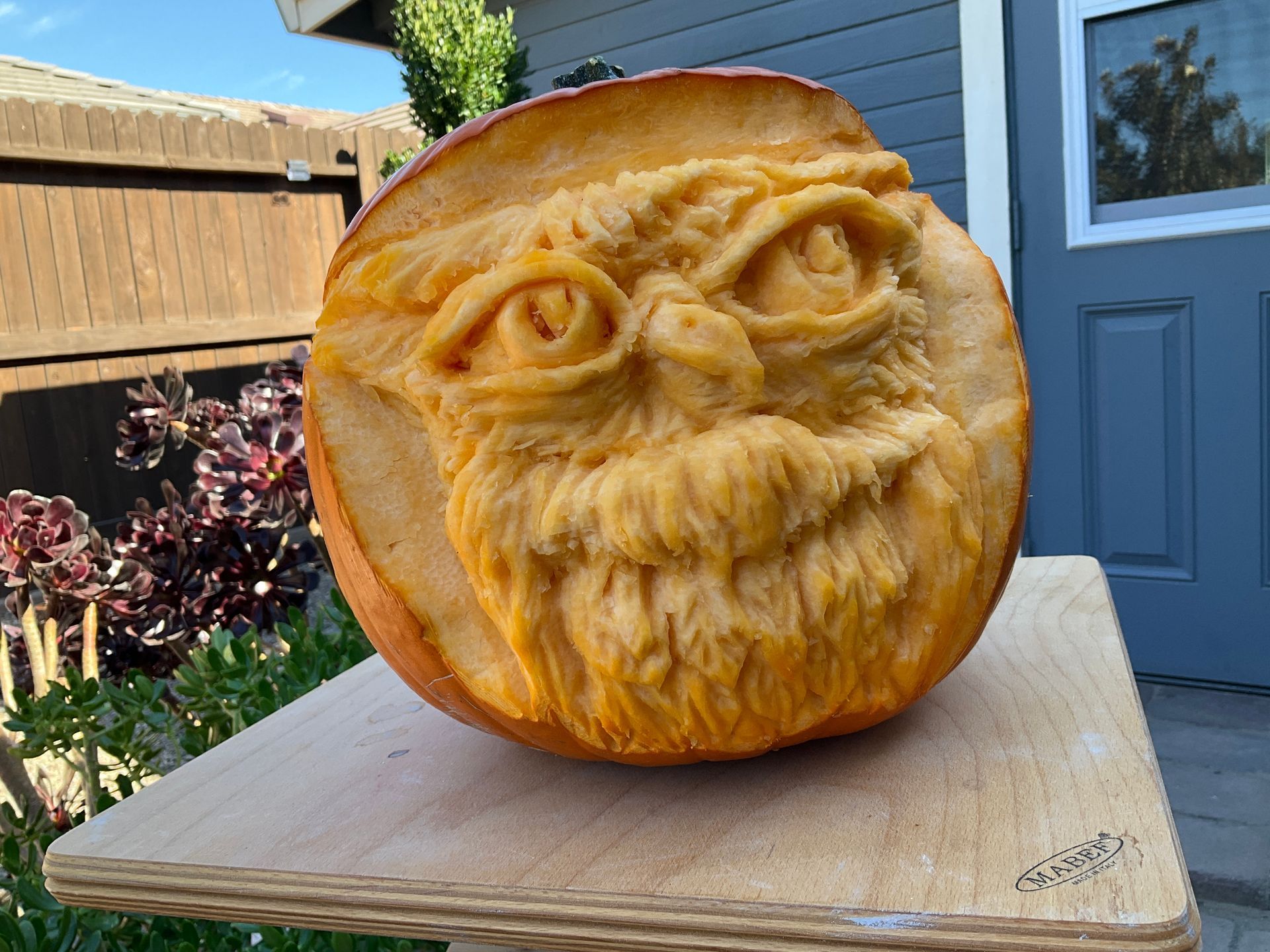 Pumpkin sculpt of stylized owl by Ilena Finocchi