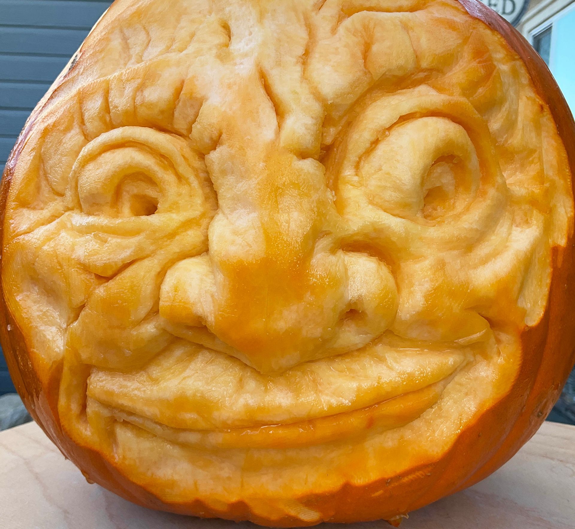 Pumpkin sculpt of stylized owl by Ilena Finocchi