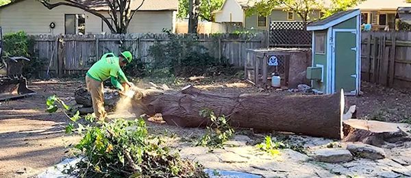 A man is cutting a large tree stump with a chainsaw in a backyard.