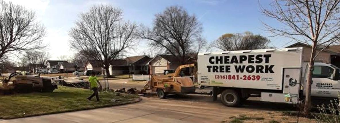 A cheapest tree work truck is parked in front of a house.