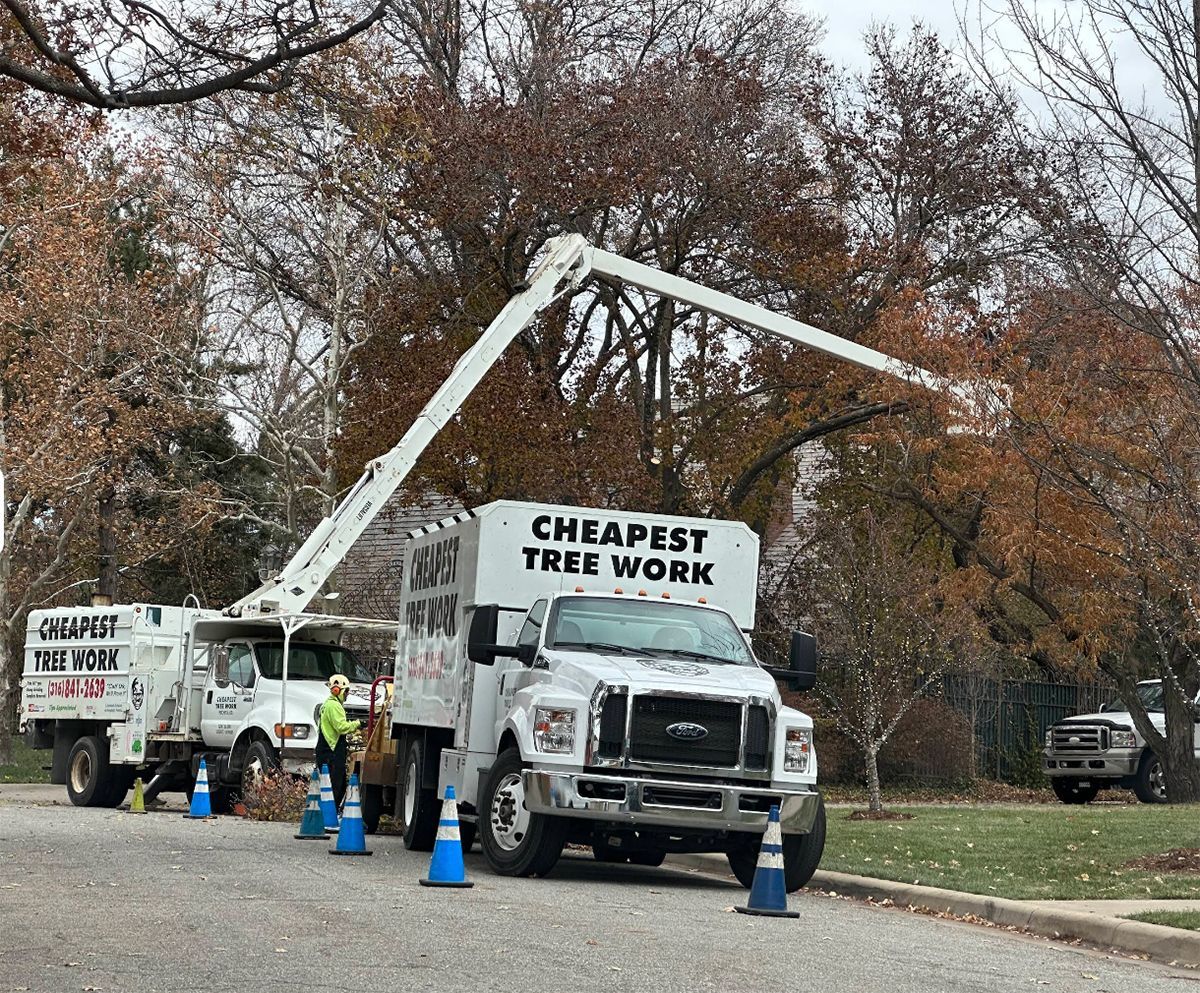 A cheapest tree work truck is parked on the side of the road.