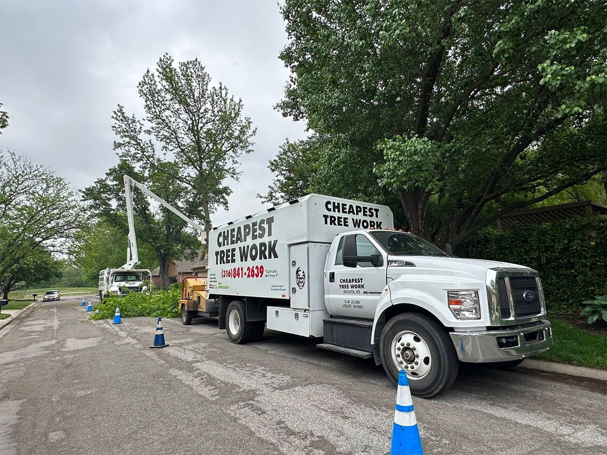 A white truck is parked on the side of the road next to a tree.
