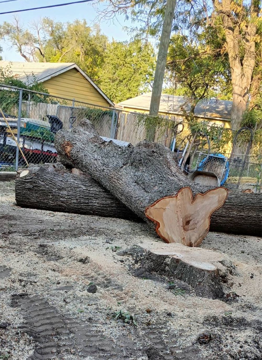 A pile of logs laying on top of each other in a yard.