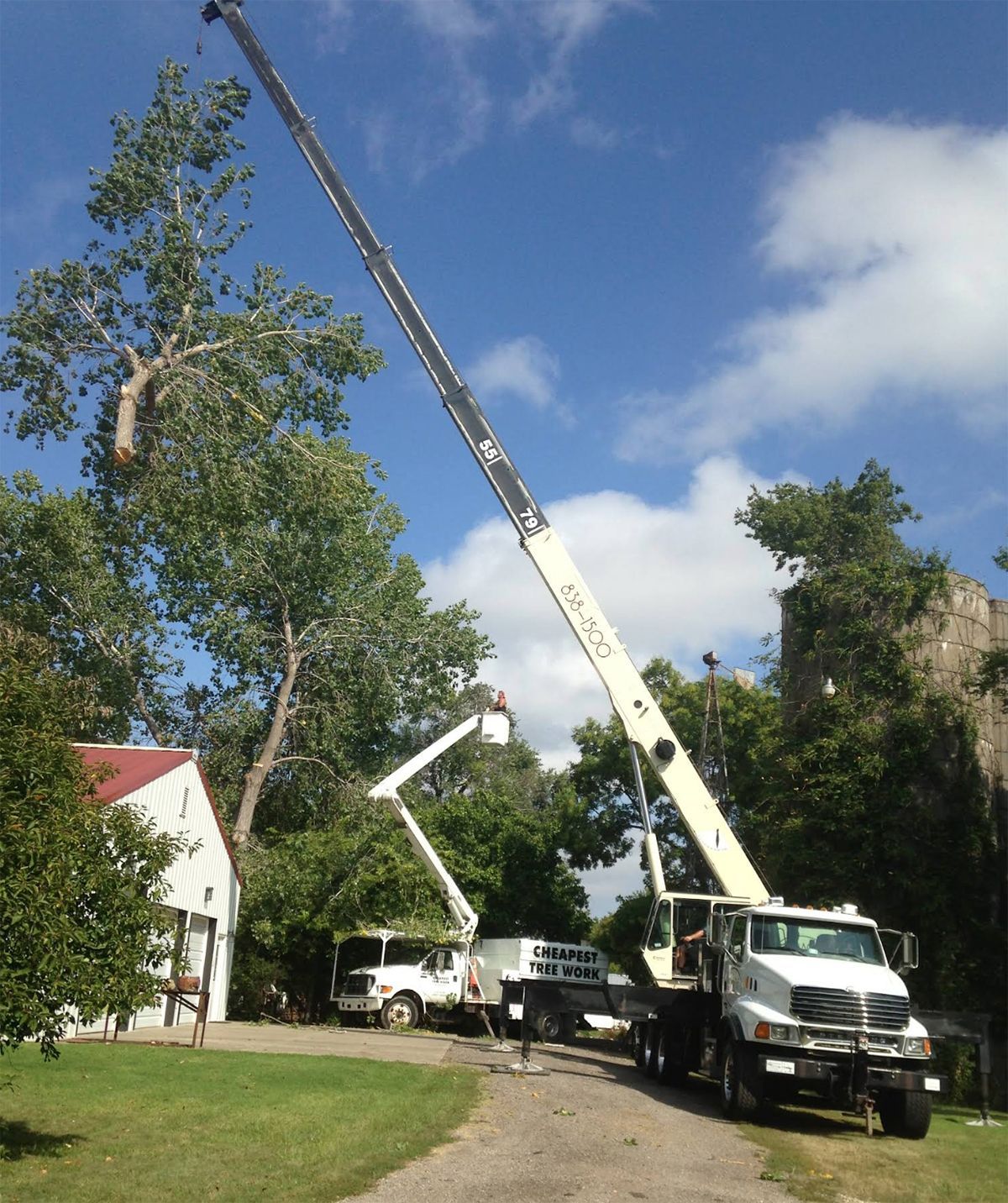 A crane is lifting a tree in a driveway