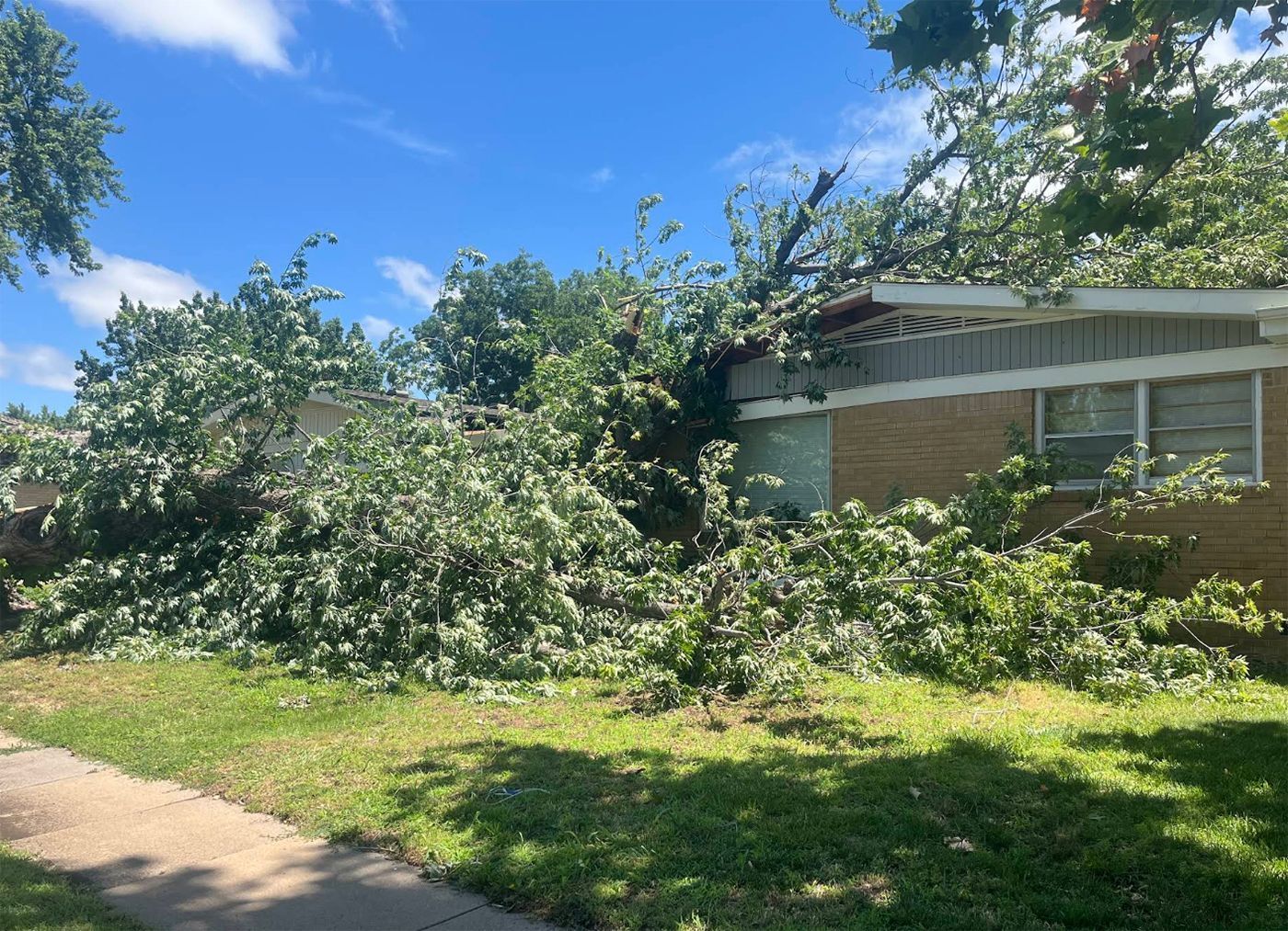 A house with a tree that has fallen on it.