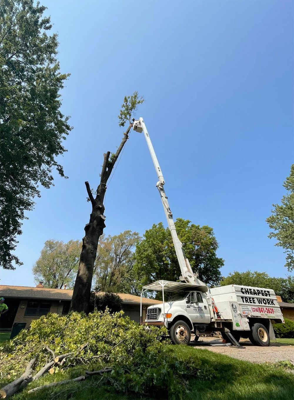 A tree cutting truck is cutting a tree in front of a house.